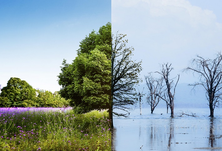 Climate Change Mitigation & Adaptation Plans
